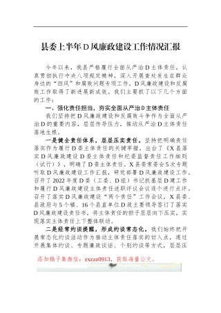 县委上半年D风廉政建设工作情况汇报