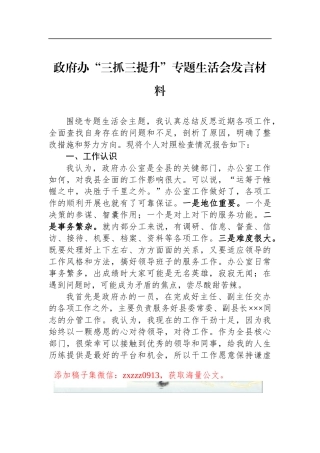 政府办“三抓三提升”专题生活会发言材料