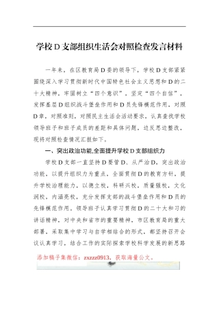 学校D支部班子对照检查材料