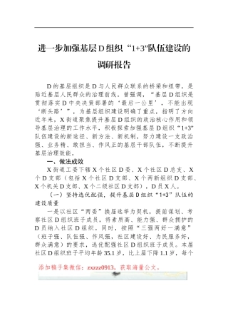 进一步加强基层D组织“13”队伍建设的调研报告