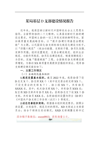 某局基层D支部建设情况报告