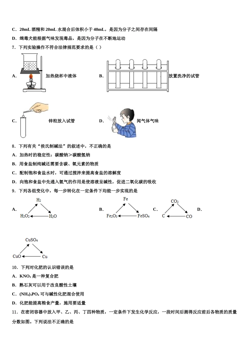 广东省揭阳市产业园区重点名校十校联考最后化学试题含解析_第2页