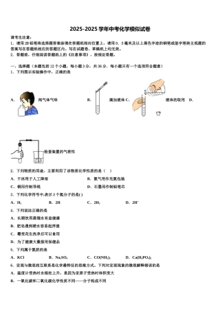 广东省揭阳市产业园区重点名校十校联考最后化学试题含解析