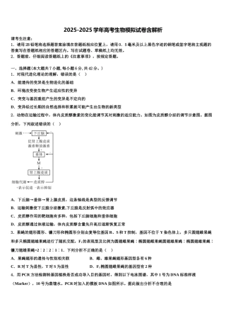 广东省普宁二中高三适应性调研考试生物试题含解析