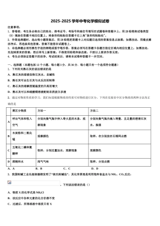 广东省梅州市梅县达标名校中考化学模拟精编试卷含解析