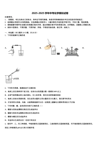广东省汕头市潮阳南侨中学中考联考化学试题含解析