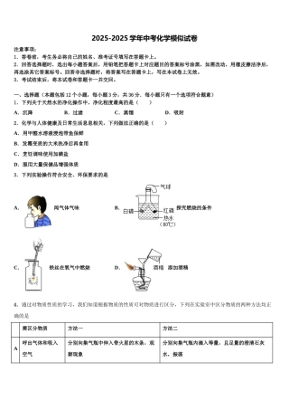 广东省江门市第二中学中考猜题化学试卷含解析