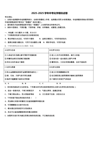 广东省河源市正德中学中考适应性考试化学试题含解析