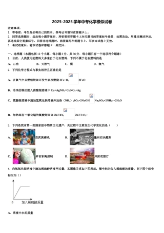 广东省肇庆市端州区南国中学英文校中考五模化学试题含解析