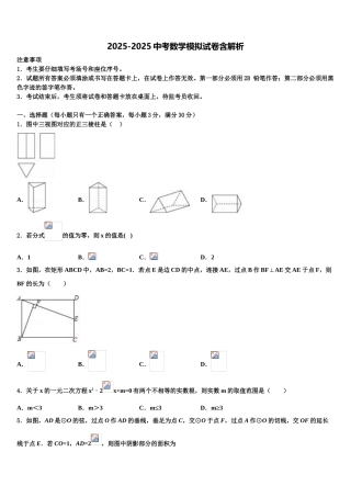广东省茂名市电白县市级名校中考一模数学试题含解析