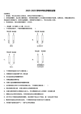 广东省那龙镇那龙学校中考化学押题卷含解析
