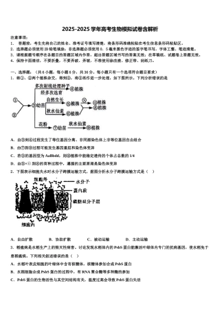 广东省郁南县连滩中学高考生物押题试卷含解析