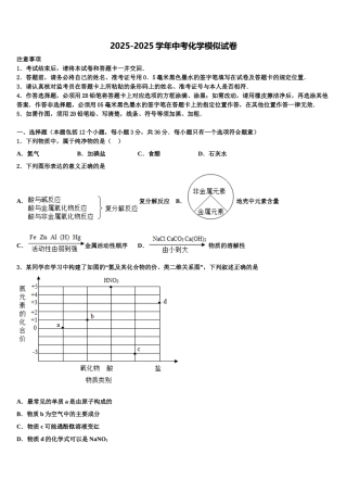 广东省阳江市东平中学中考二模化学试题含解析