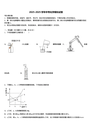 广东省阳江市实验中学中考化学对点突破模拟试卷含解析