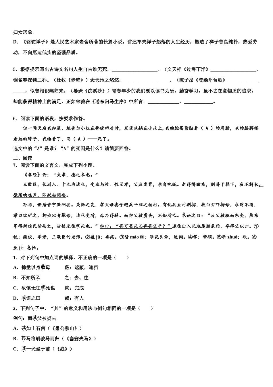 广东省韶关市南雄市重点中学中考二模语文试题含解析_第2页