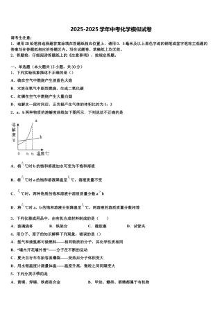 广东省高州市谢鸡镇中考化学仿真试卷含解析