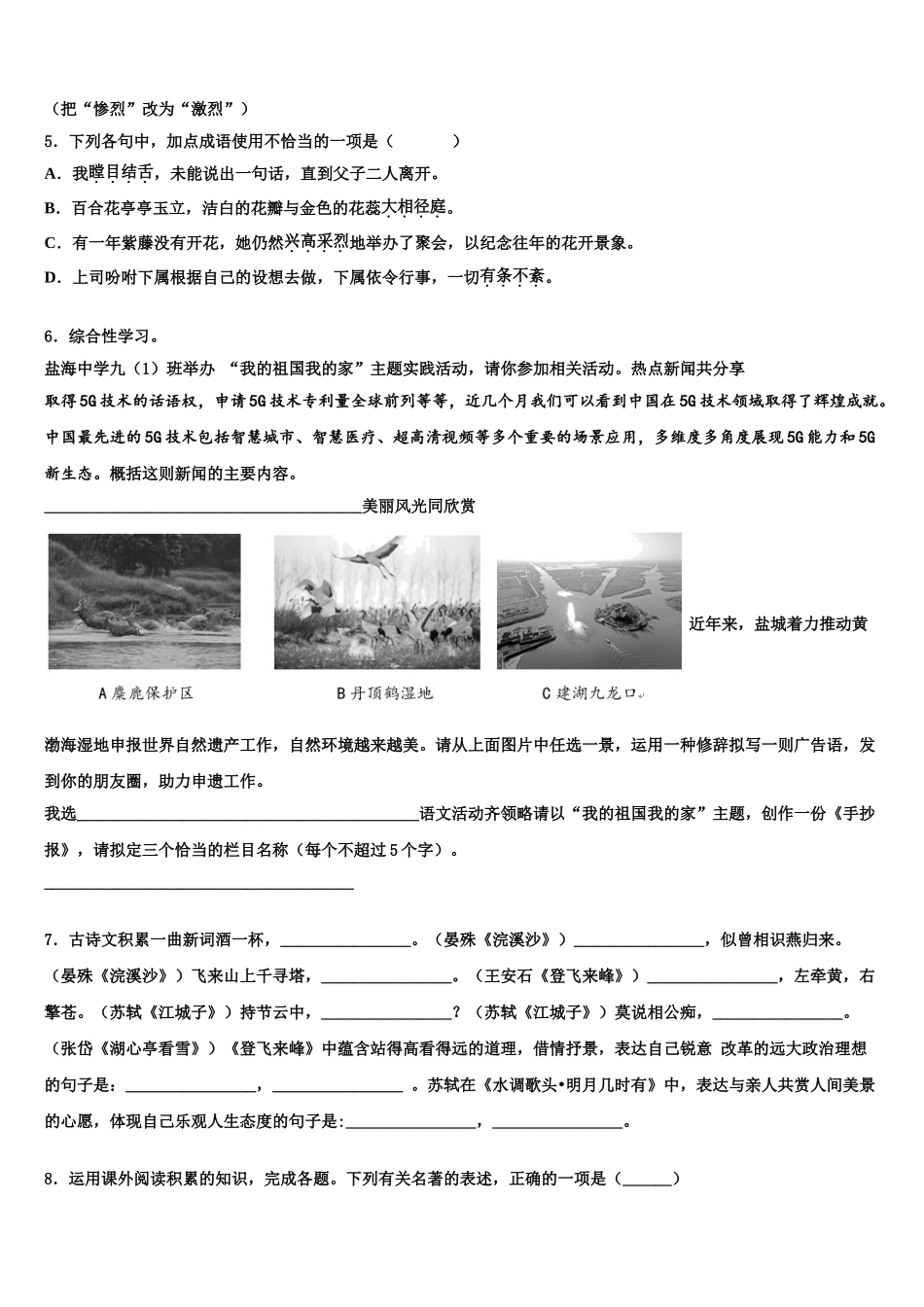 广州市黄埔区中考语文模试卷含解析_第2页