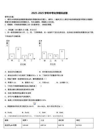 广西北流、陆川、容县中考五模化学试题含解析