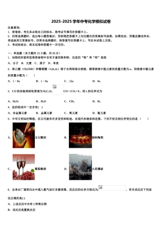 广西北海市、南宁市、钦州市、防城港市中考化学对点突破模拟试卷含解析