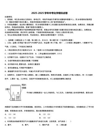 广西南宁二中学中考化学最后冲刺浓缩精华卷含解析