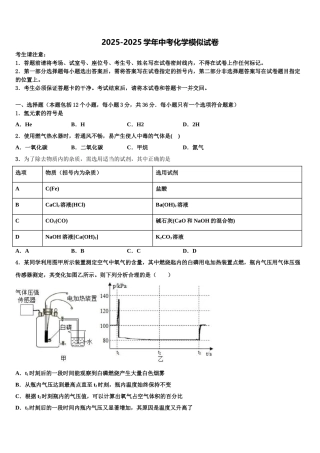 广西南宁市马山县重点中学中考化学猜题卷含解析