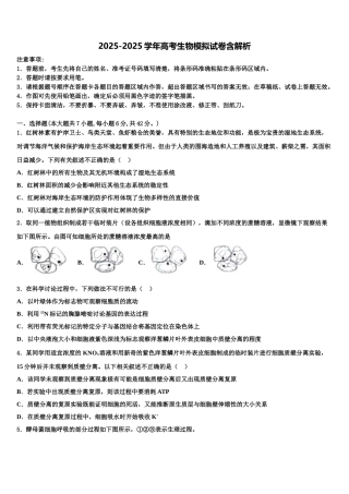 广西壮族自治区南宁市二中高考生物三模试卷含解析