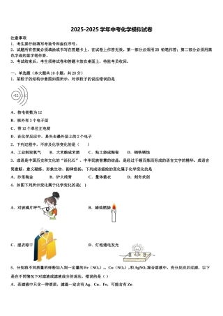 广西壮族自治区玉林市博白县重点名校中考五模化学试题含解析