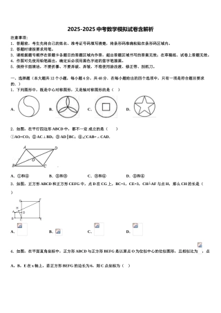广西崇左市天等县达标名校中考数学适应性模拟试题含解析