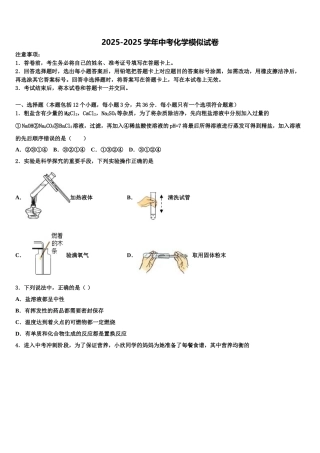 广西河池市天峨县重点名校中考化学模拟精编试卷含解析