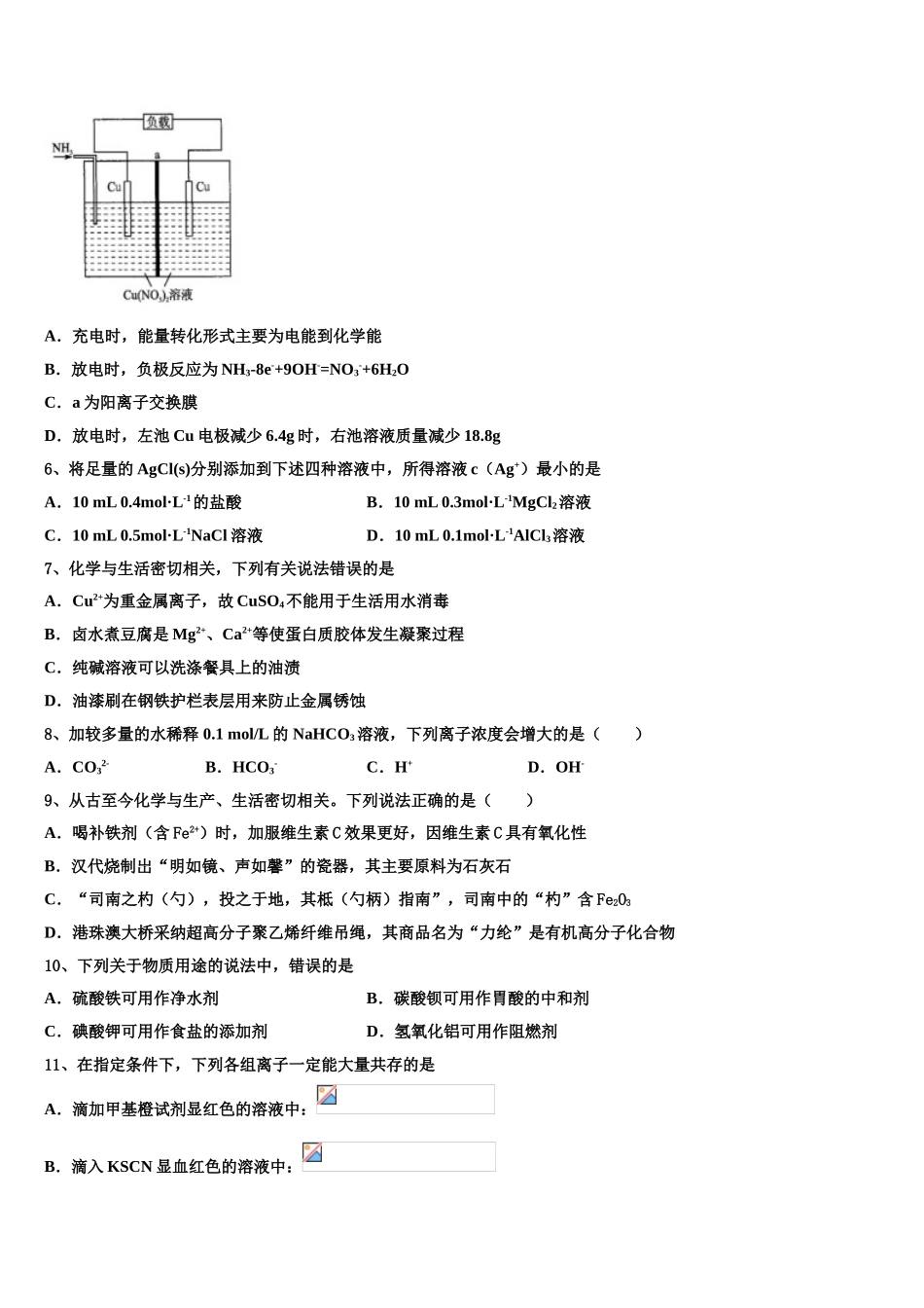 广西贺州平桂高级中学高三第五次模拟考试化学试卷含解析_第2页
