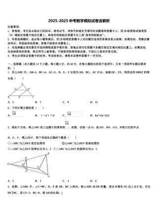 广西防城港市那梭中学中考数学模拟精编试卷含解析