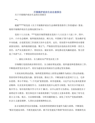 开展维护政治生态自查报告