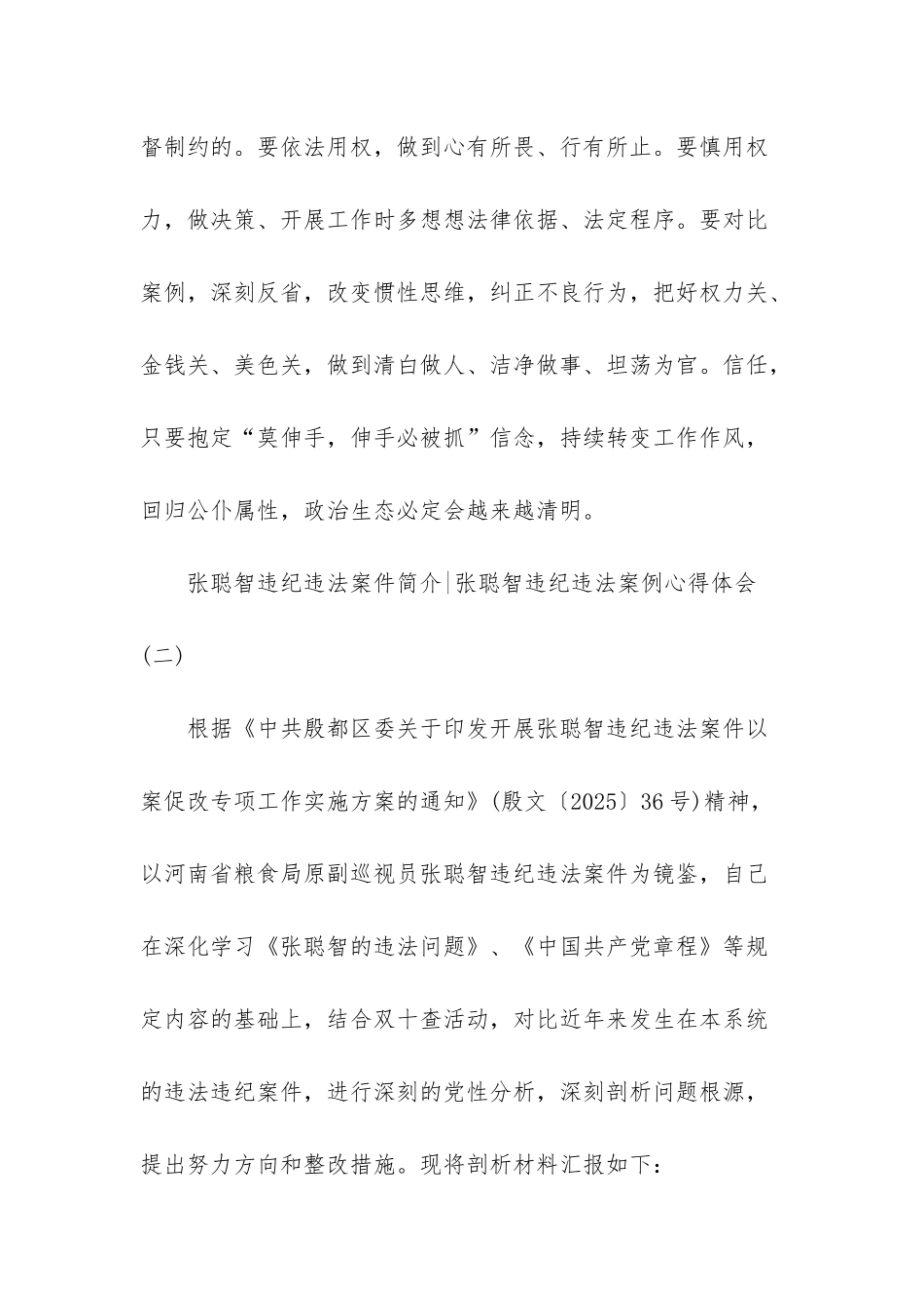张聪智违纪违法案件简介_第3页