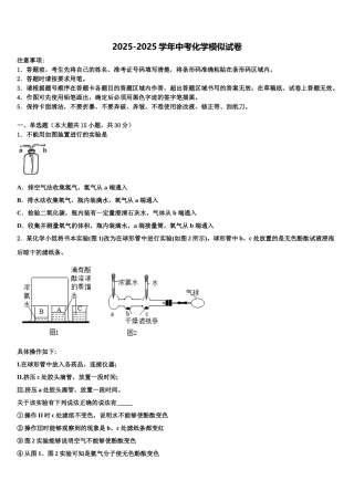 徐州市重点中学中考化学最后冲刺模拟试卷含解析