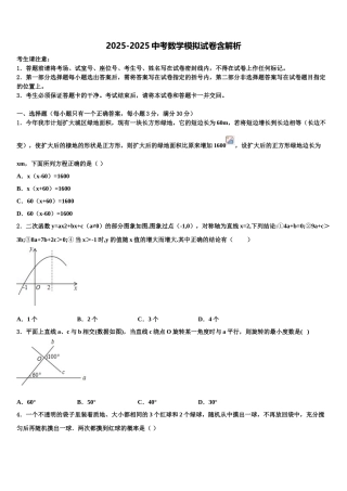 徽省临泉中考数学模拟精编试卷含解析