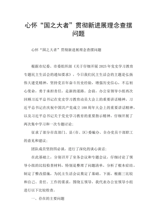 心怀“国之大者”贯彻新发展理念查摆问题