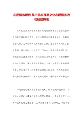 志愿服务项目-某市扎实开展文化志愿服务活动经验做法