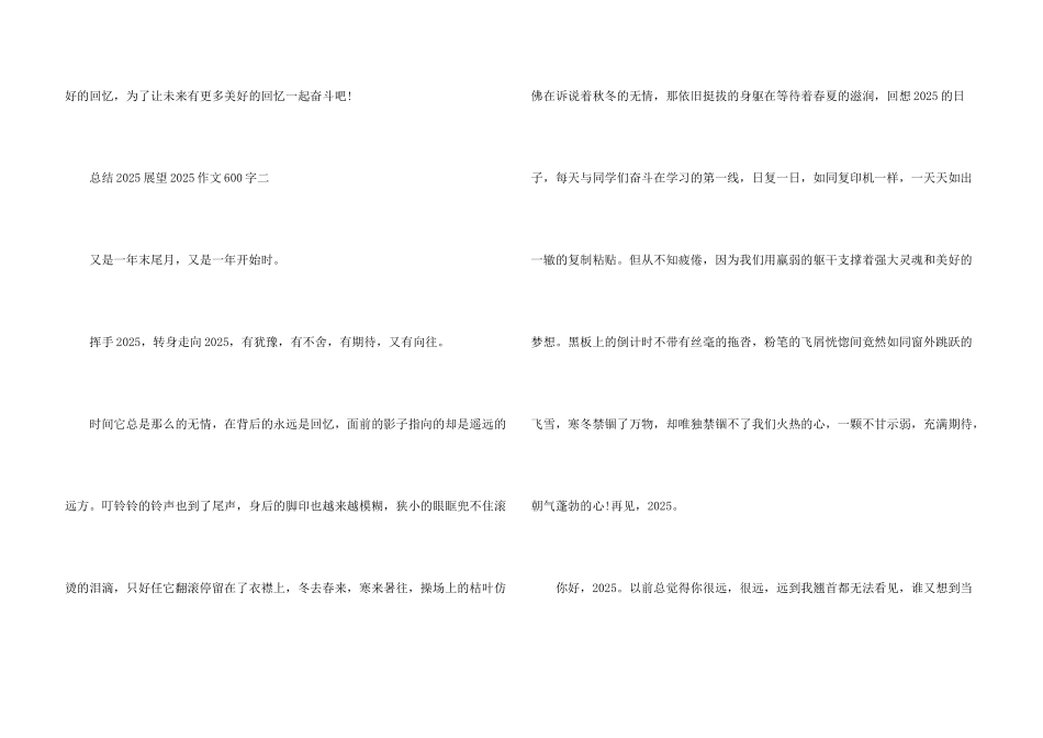 总结2025展望2025话题600字_第3页