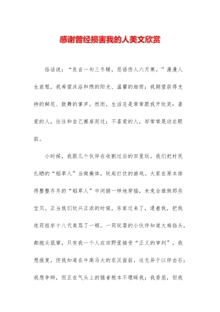 感谢曾经伤害我的人美文欣赏