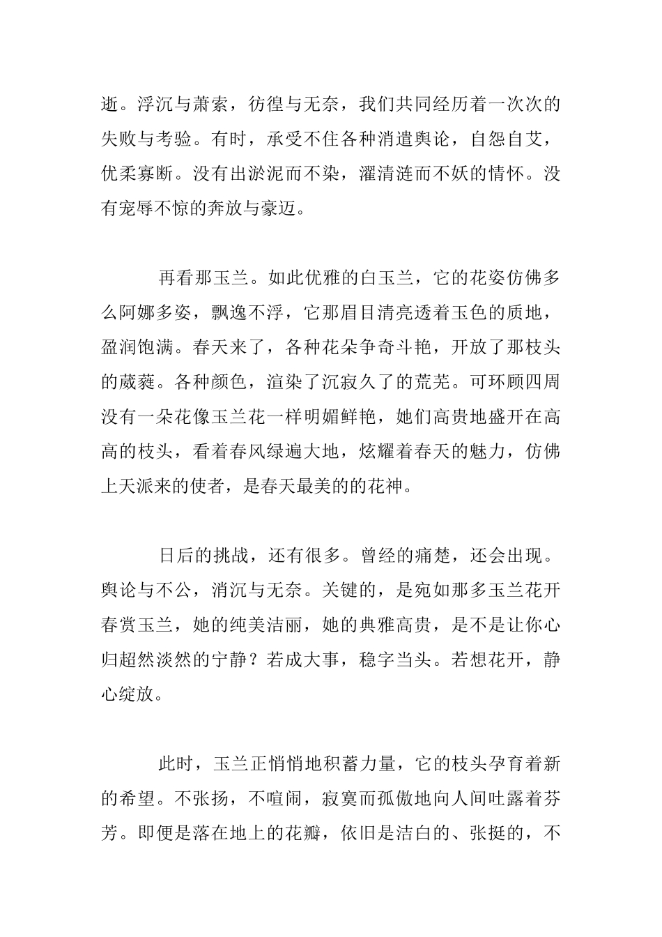 我好想那朵玉兰花开九年级散文_第2页