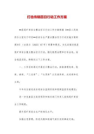 打击传销百日行动工作方案