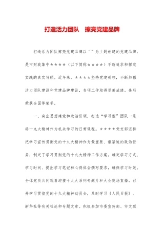 打造活力团队-擦亮党建品牌