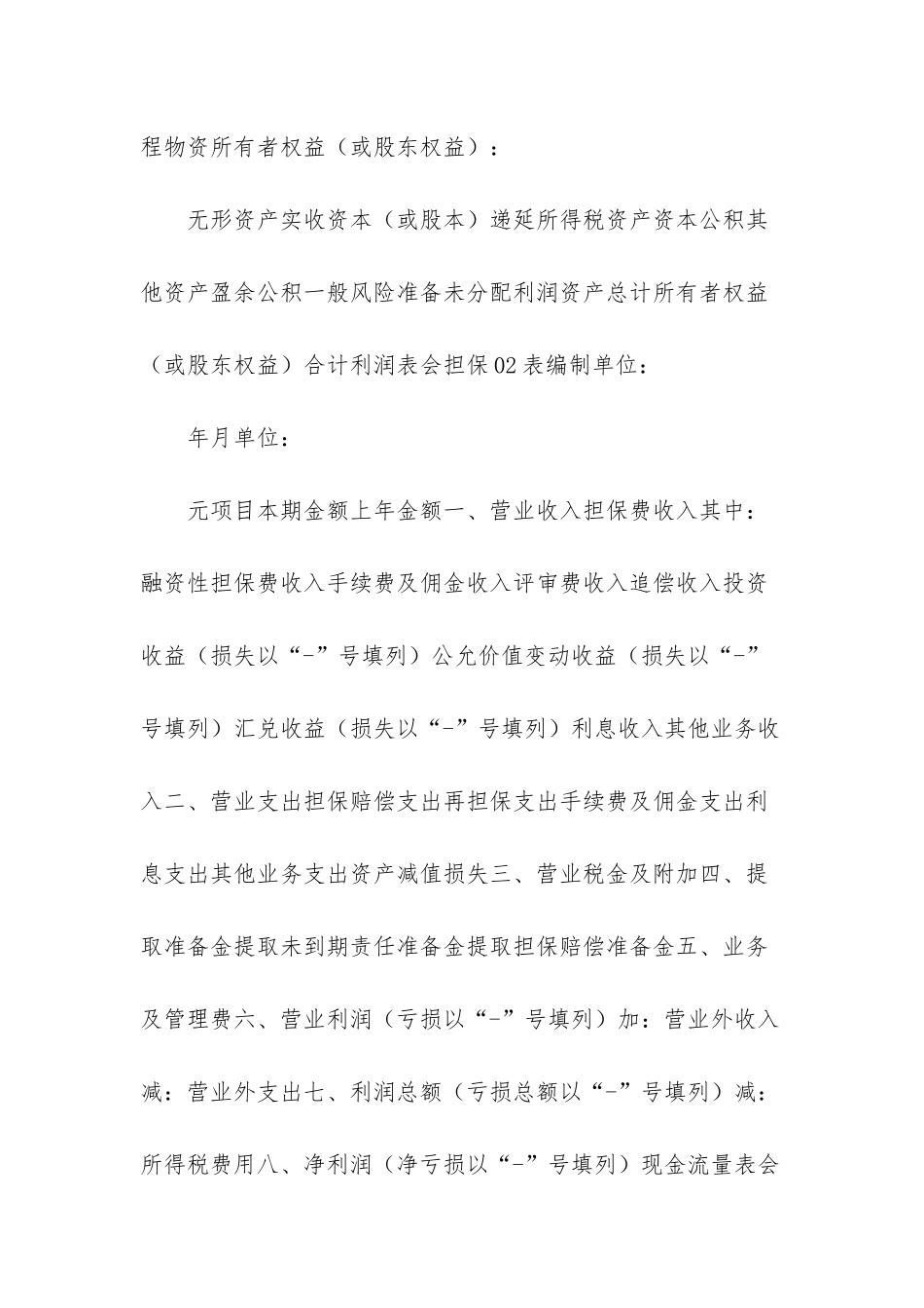 担保公司财务报表模板_第2页