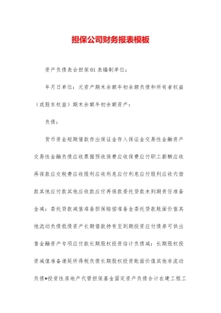 担保公司财务报表模板