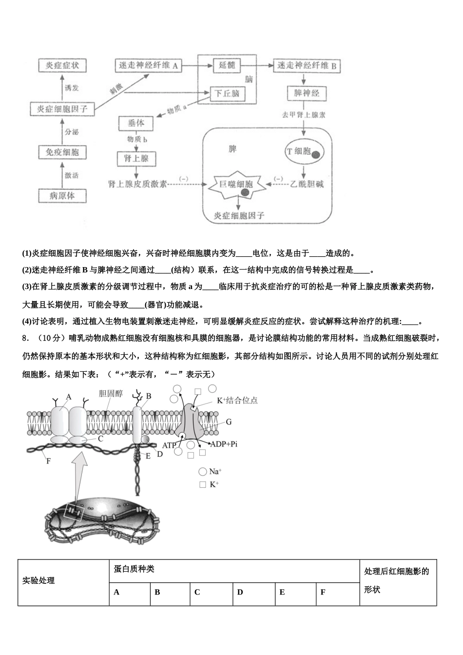 揭阳市重点中学高考生物三模试卷含解析_第3页