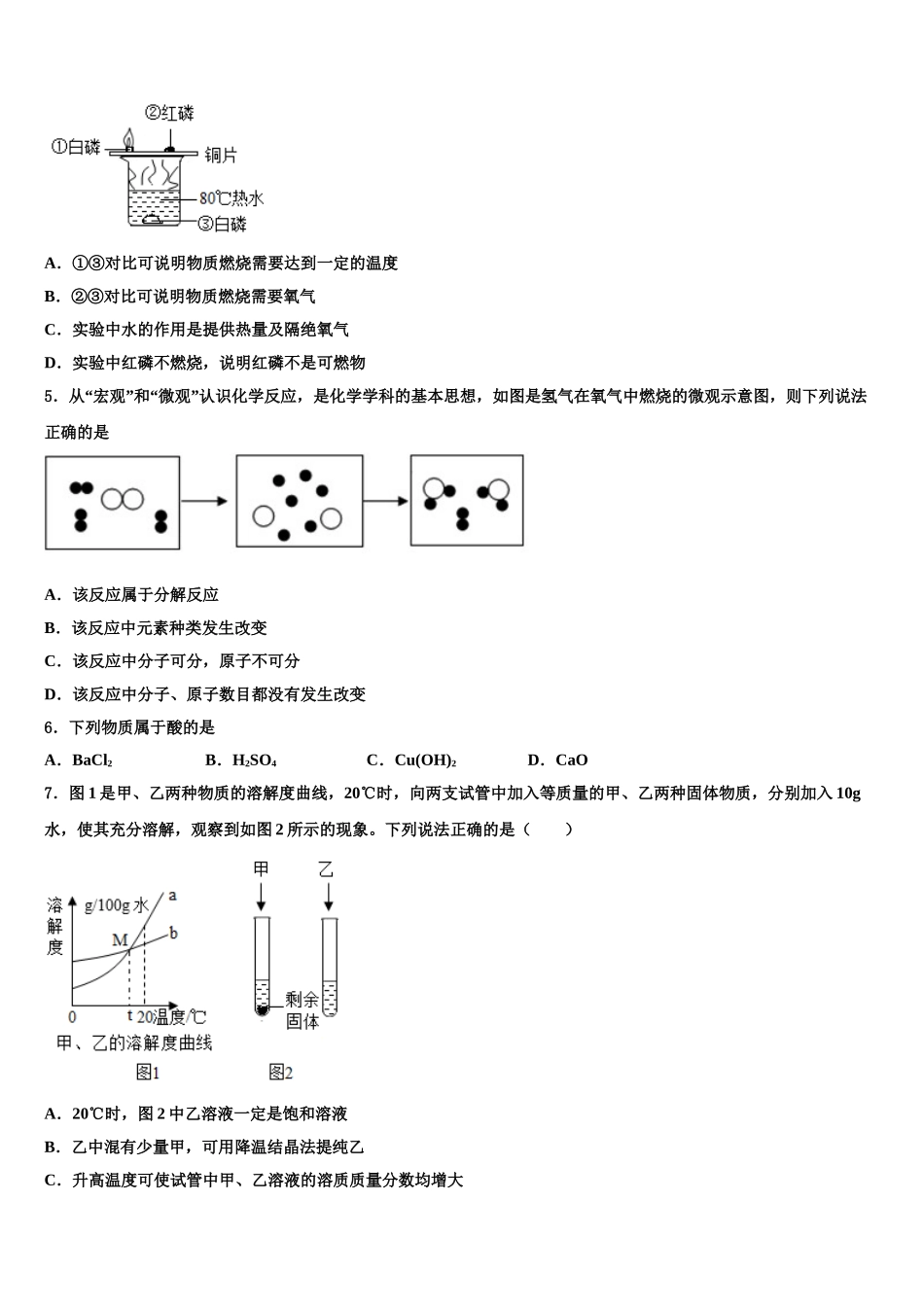 揭阳市重点中学中考化学模拟预测试卷含解析_第2页