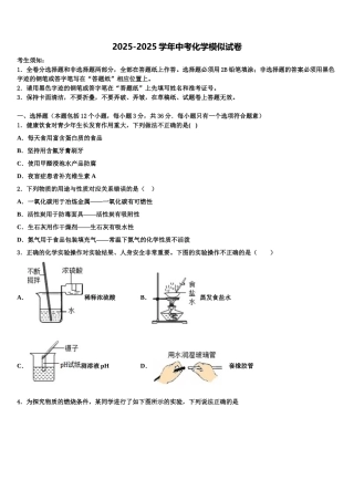 揭阳市重点中学中考化学模拟预测试卷含解析