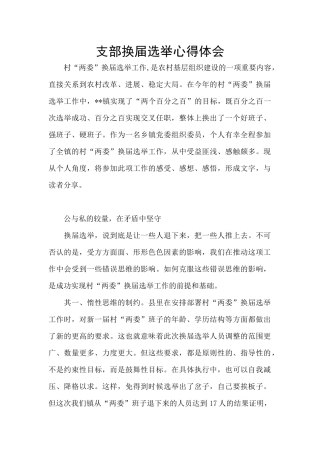 支部换届选举心得体会