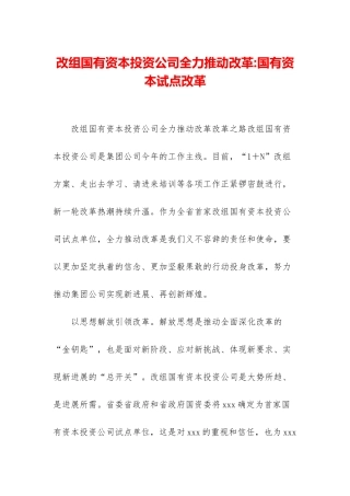 改组国有资本投资公司全力推进改革-国有资本试点改革