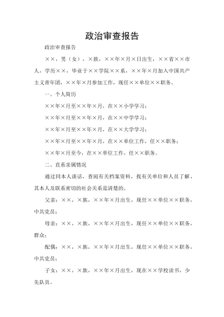 政治审查报告